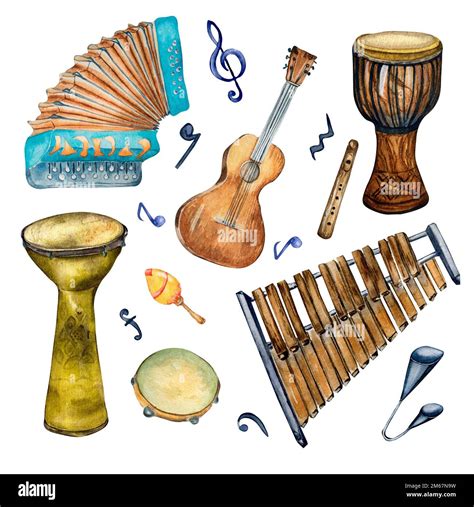 Conjunto De Instrumentos Musicales De Percusi N Variouse Ilustraci N De