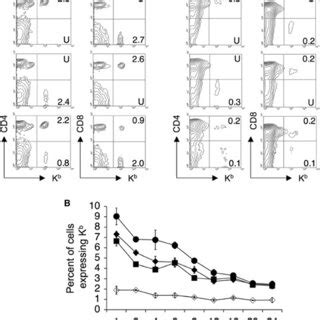 Long Term Survival Of Adoptively Transferred Mature Cd And Cd T Cells