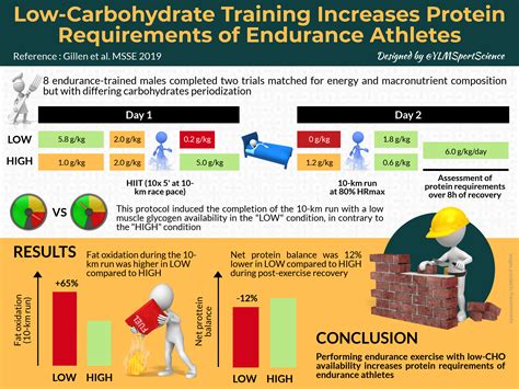 Low-Carbohydrate Training Increases Protein Requirements of Endurance
