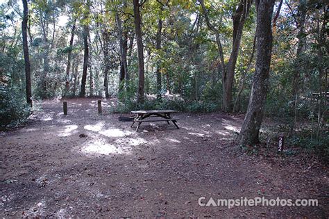 Myrtle Beach State Park Campsite Photos Camping Info And Reservations