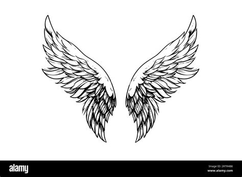 Angel Wings Ink Sketch In Engraving Style Hand Drawn Fenders Vector