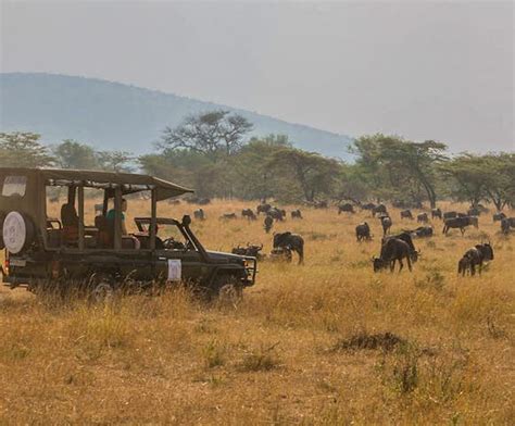 Tanzania Safari & Beach | Brilliant Africa