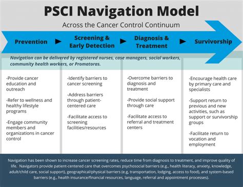 Cancer Navigation And Survivorship Network The Office For Cancer