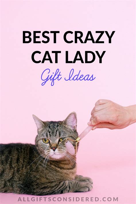 35 Best Crazy Cat Lady Gift Ideas [No Kitten Around] » All Gifts Considered