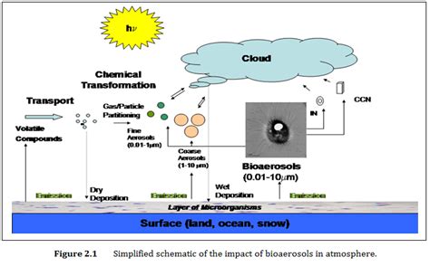 Bioareosols Microphysics Aerosol Cloud Interactions Chemical