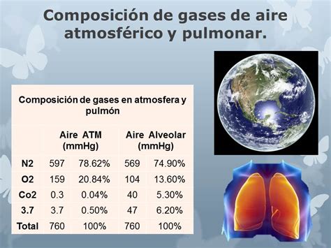 Portafolio De Evidencias De Fisiología Básica Ilsa Elenes Iv 5 Composición De Gases En