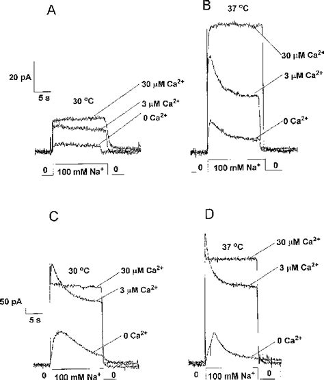 Figure From Transport And Regulation Of The Cardiac Na Ca