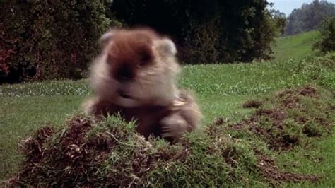 Caddyshack Gopher Mambo Youtube