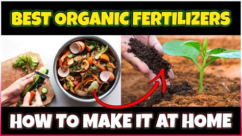 Best Organic Fertilizers How To Make Natural Manures For Plants At