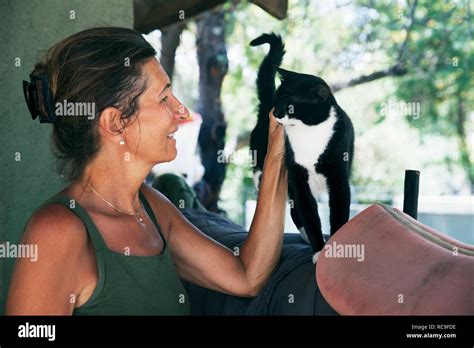 Mature Woman Stroking Cat Stock Photo Alamy