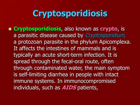 Ppt Cryptosporidium Powerpoint Presentation Free Download Id9791