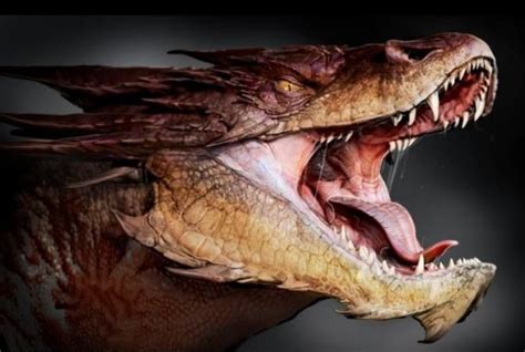 Smaug Mouth Tyllèth Open Smaug Dragon Hobbit Dragon Dragon Artwork