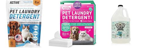 Fresh Paws, Clean Dreams: 5 Easy Steps To Washing Your Dog's Bedding