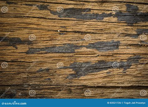 Woody Texture Royalty Free Stock Image 12774136