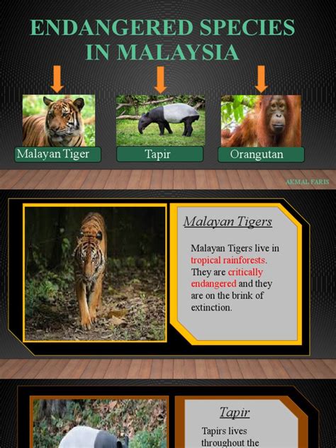 Endangered Species in Malaysia | PDF