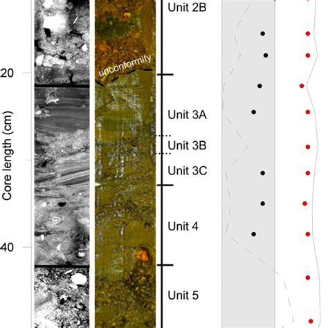 Photo Of Sediment Core 050310 C3 From Left To Right X Ray Image