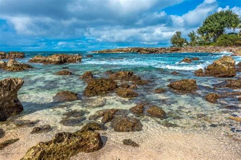 Best Things To Do On The North Shore Of Oahu