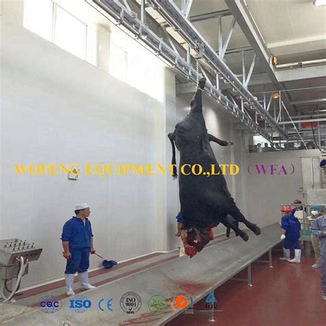 Halal Cattle Slaughtering Processing Line Beef Butchery Abattoir