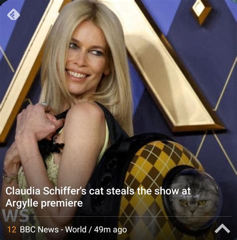 Something Something Mrs Slocombe S Pussy R AreYouBeingServed