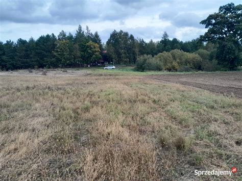 Sprzedam działki Budowlane CHYCINA Międzyrzecz Sprzedajemy pl