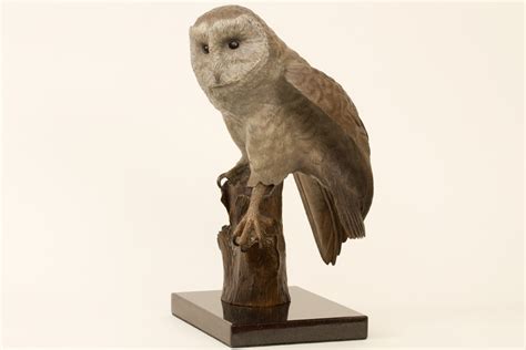 Barn Owl Bronze Sculpture With Coloured Patina By Wildlife Artist