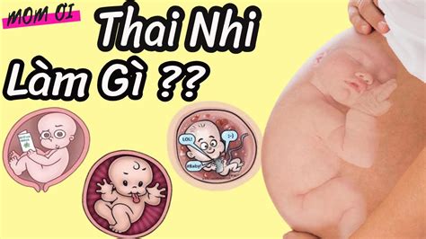 Em Bé Làm Gì Trong Bụng Mẹ Khám Phá Những Điều Thú Vị Về Thai Nhi