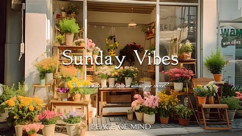 잔잔한 피아노 선율과 함께 화창한 일요일 행복하게 시작하세요 Sunday Vibes PEACE OF MIND YouTube