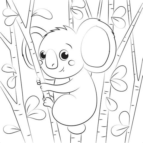 Free Printable Koala Coloring Pages Pdf Coloringfolder Coloring