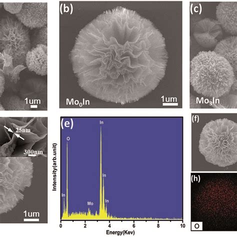 SEM Images Of As Synthesized Flower Like Hierarchical Microstructures