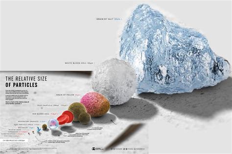 Relative Size Of Subatomic Particles