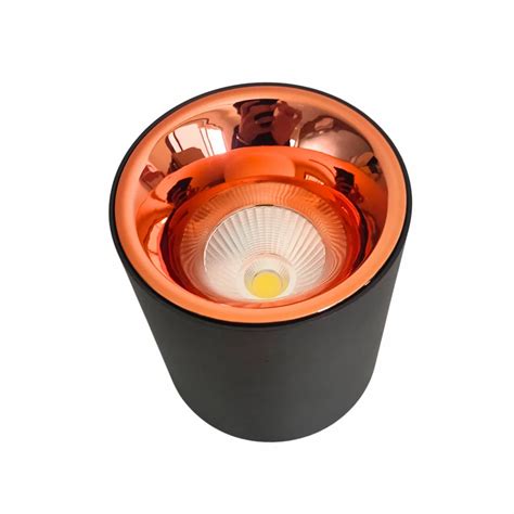 18W Surface Cylinder COB Light BK RG Body At Rs 700 Piece Sector