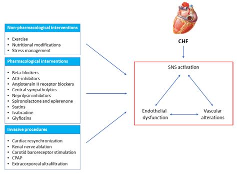Endothelial, Vascular and Sympathetic Alterations as Therapeutic