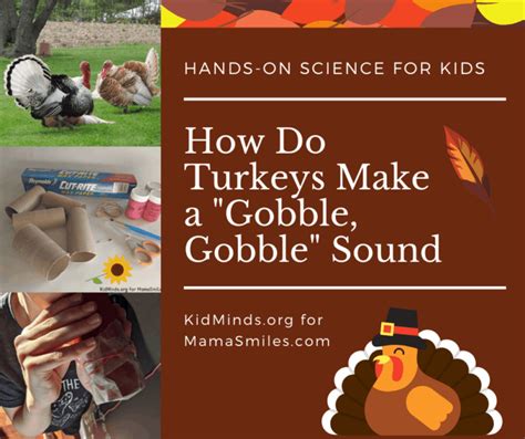 Turkey Gobble Thanksgiving Science for Kids - Hands on STEM Learning