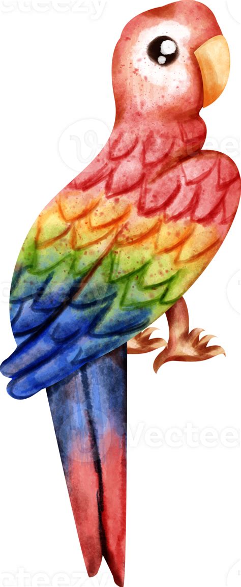 watercolor macaw clip art 23322779 PNG