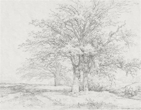 Vintage Drawing Tree Sketch Landscape Wall Art Landscape Drawing Vintage Landscape Prints