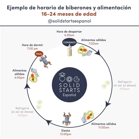 Horarios De Alimentaci N Para Beb S Solid Starts