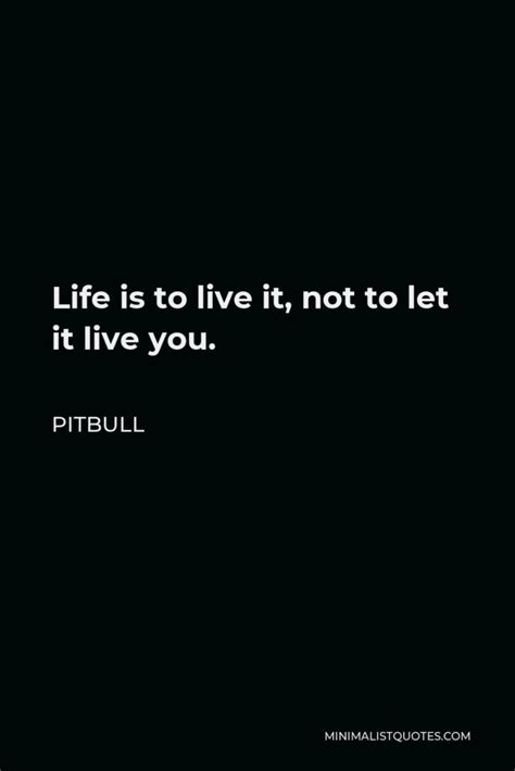 Pitbull Quote Ive Always Had Goals Always Had Visions Always Had A