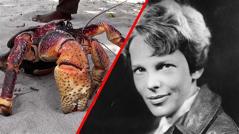 Chilling Facts About Coconut Crabs Youtube