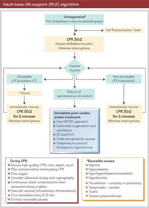 Basic algorithm of life concept map - programsfiln