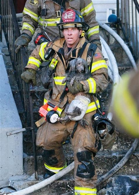 Firefighters Rescuing Animals Will Get Your Right In The Feelings