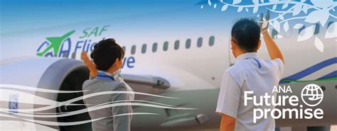 ANA Future Promise|ANA 