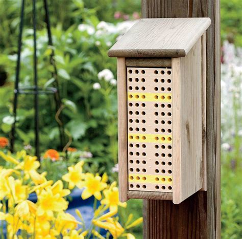 How To Build A Bee Box - Harrowsmith | Everand