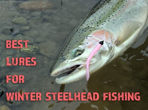 The Best 15 Lures For Winter Steelhead Fishing Riptidefish