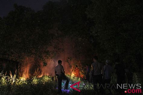 Bmkg Deteksi Titik Panas Di Sumatera Antara News