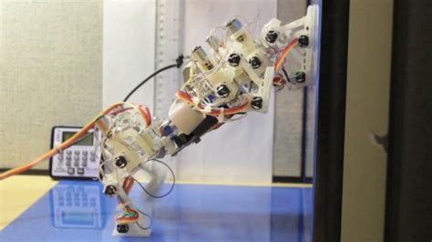 Esa Wall Crawling Gecko Robots Can Stick In Space Too