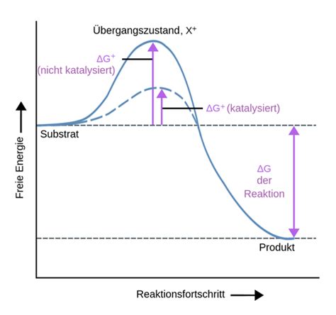 Enzyme Labster