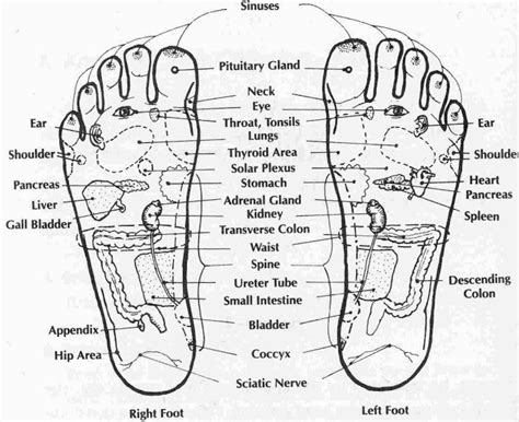 Benefits Of Acupressure Points Acupressure Points In Hand And Leg