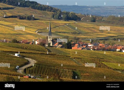 France Grand Est Marne 51 Montagne De Reims Nature Park The