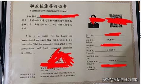 电子商务师——人社三方职业技能等级证证书教育百科 简易百科