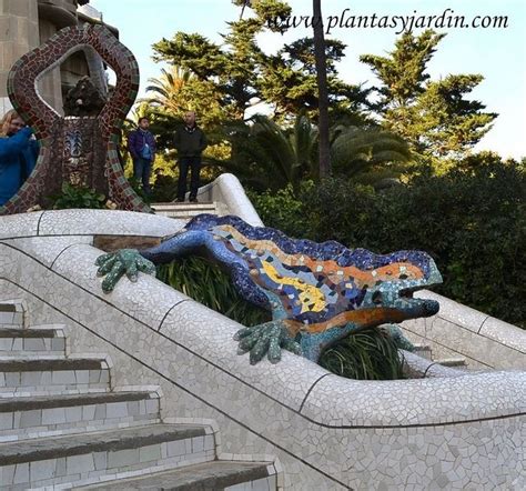 La Salamandra O El Drag N En La Escalinata Del Parc G Ell By Plantas Y